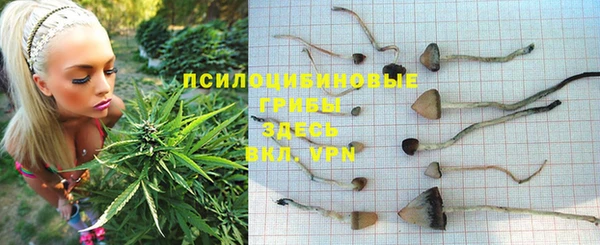 марки nbome Арсеньев