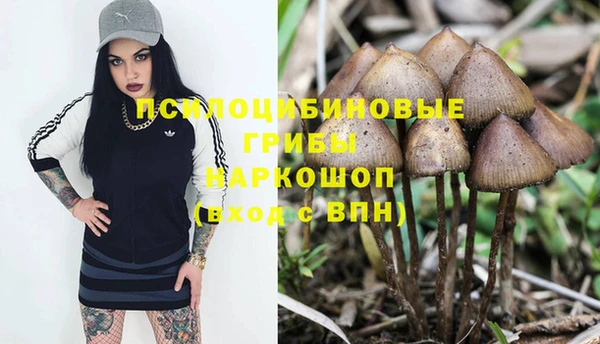а пвп мука Аркадак