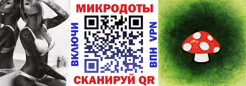 что такое   Покачи  Псилоцибиновые грибы мицелий 